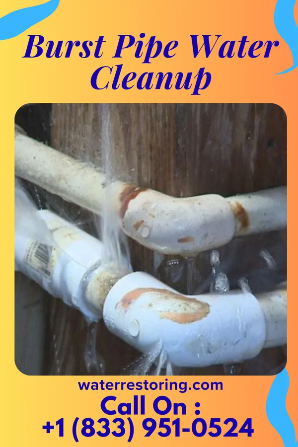 Burst Pipe Water Cleanup in Calio, ND