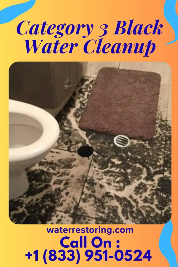 Category 3 Black Water Cleanup in Calio, ND